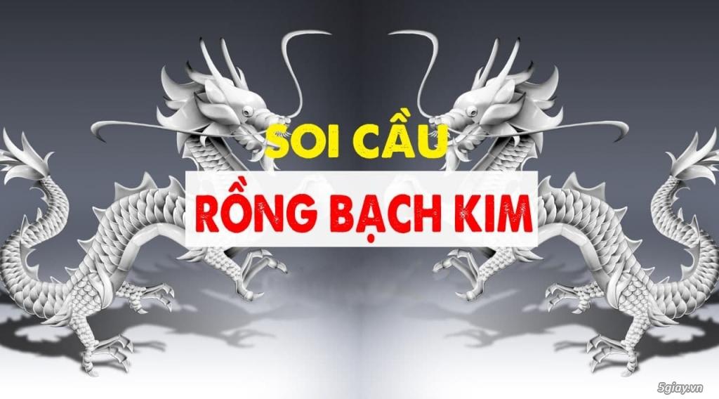 Bí kíp soi cầu rồng bạch kim tại Red88