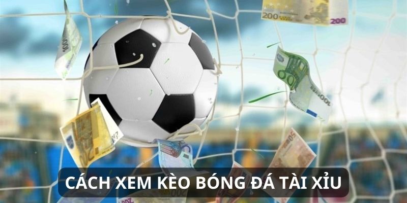 Cùng Red88 nhận thưởng nóng từ bet thể thao ngay!